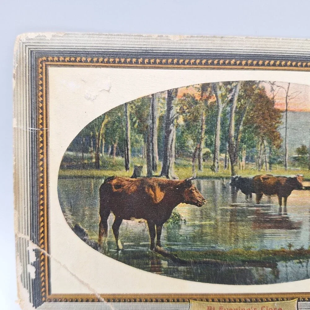 Vintage National Series Postcard At Evenings Close Pastoral Cows Water Scene Old